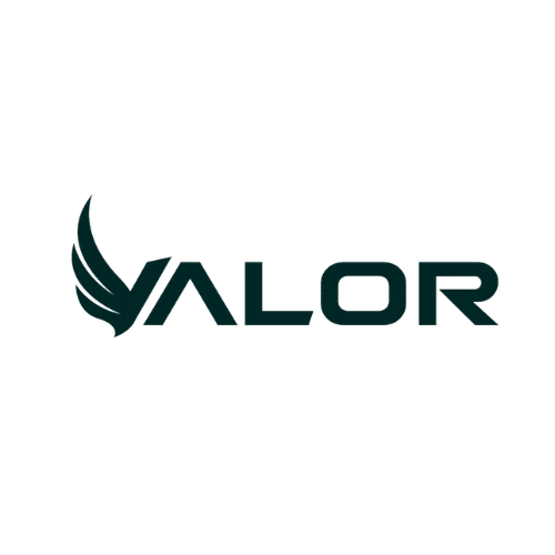 Valor logo
