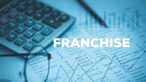 Franchise Fees and Costs
