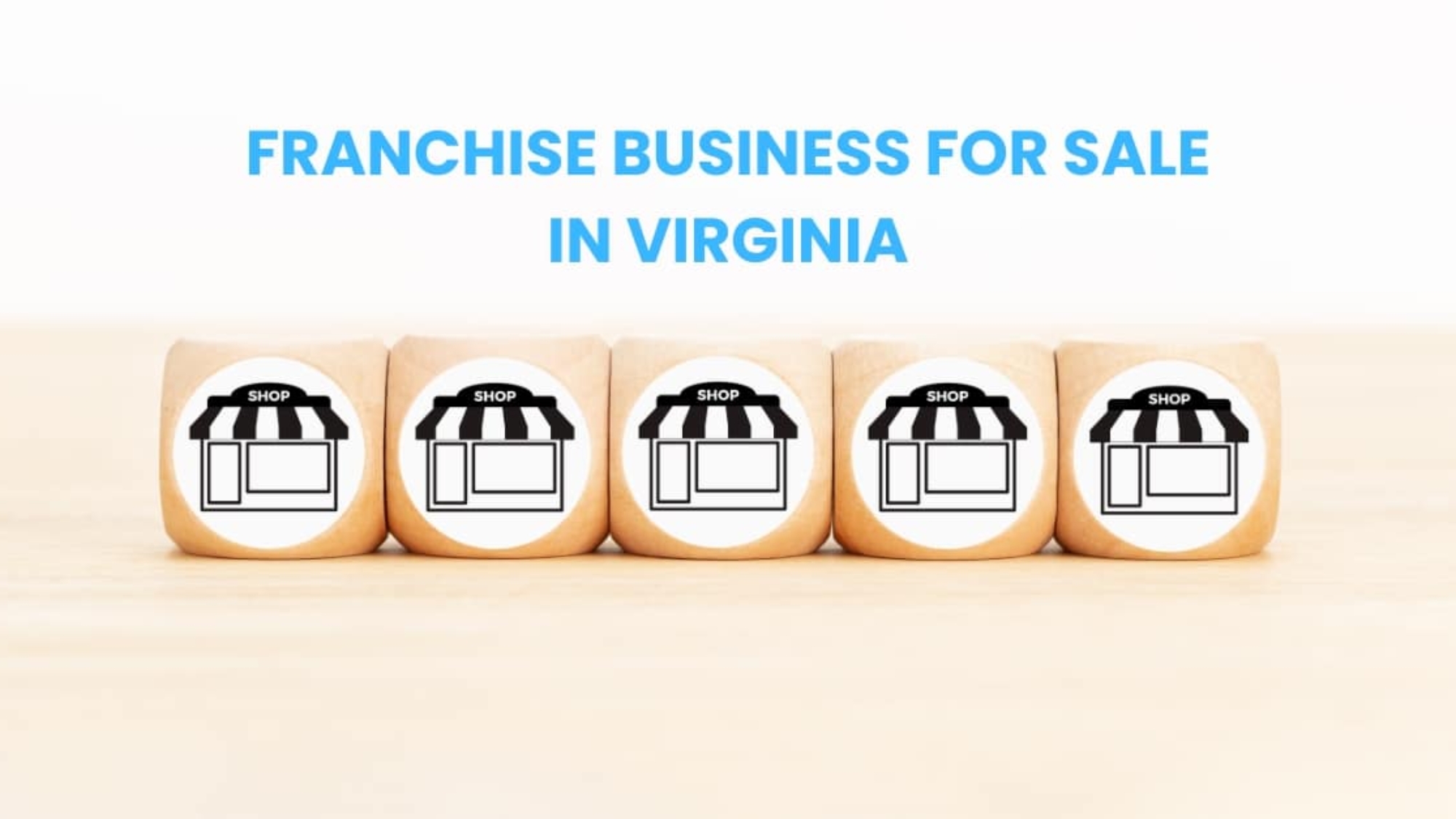 franchise business for sale in Virginia