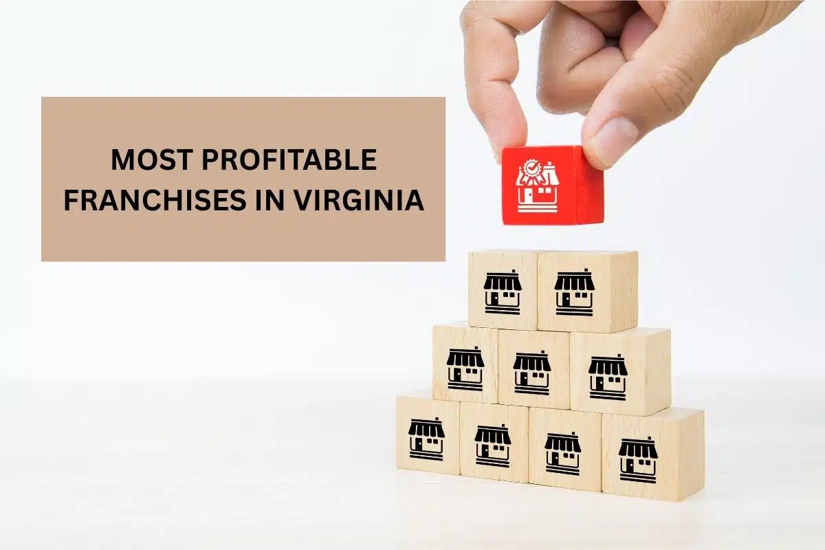 most profitable franchises in Virginia