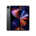 iPad Pro 12.9 (5th Gen) (2021)