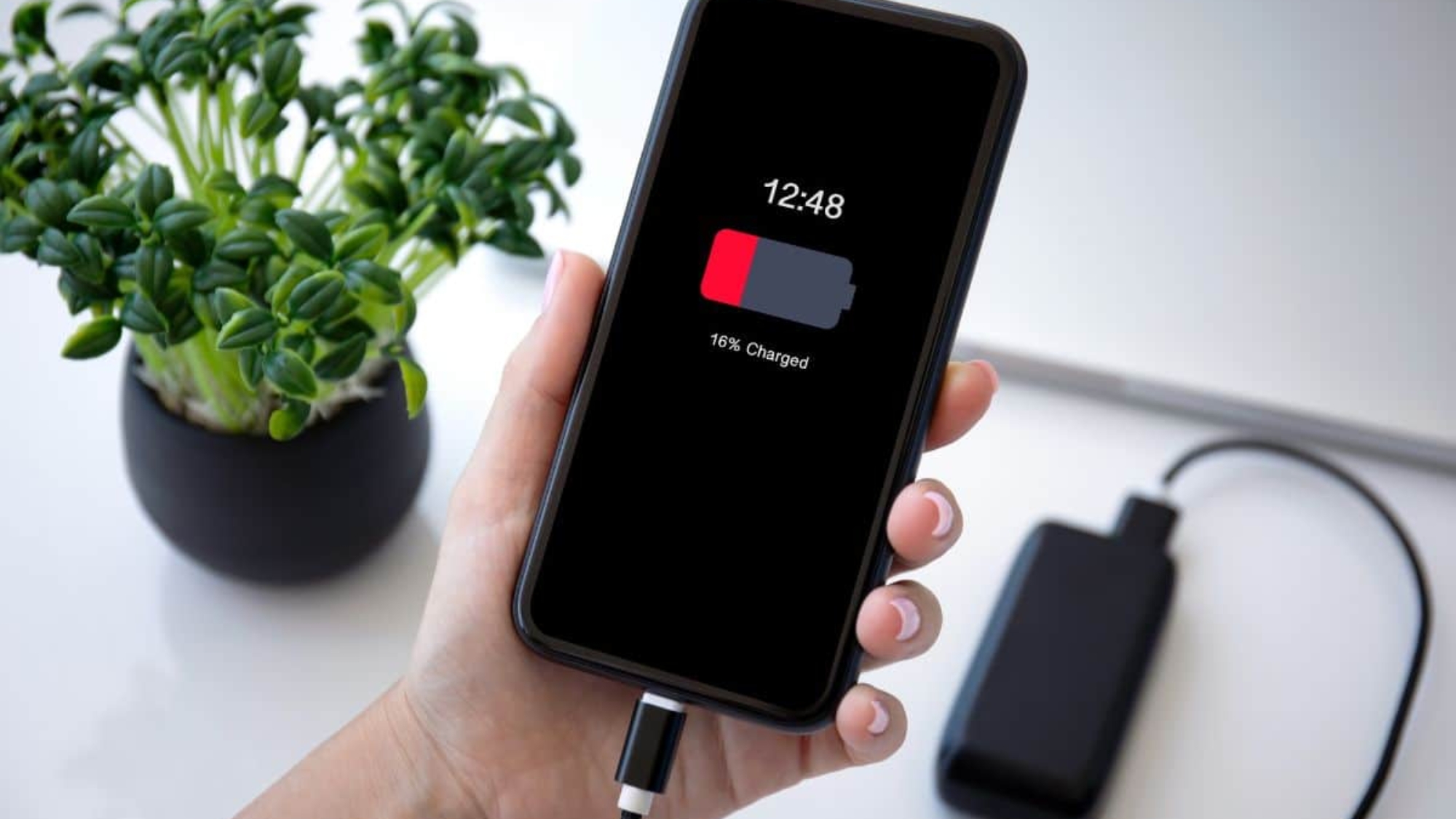 When should you replace your phone battery
